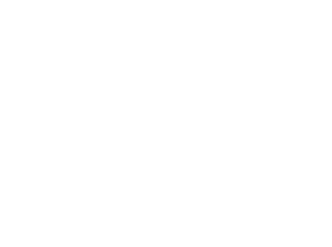 The Wedding Brocade
